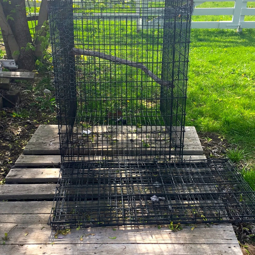 Dog cage